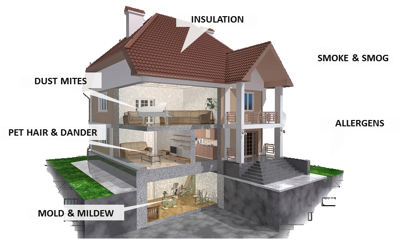 house cutaway